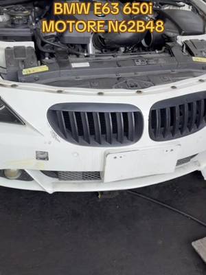 Motore BMW N62B48