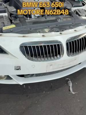 Motore BMW N62B48