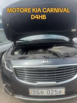 Motore Kia D4HB