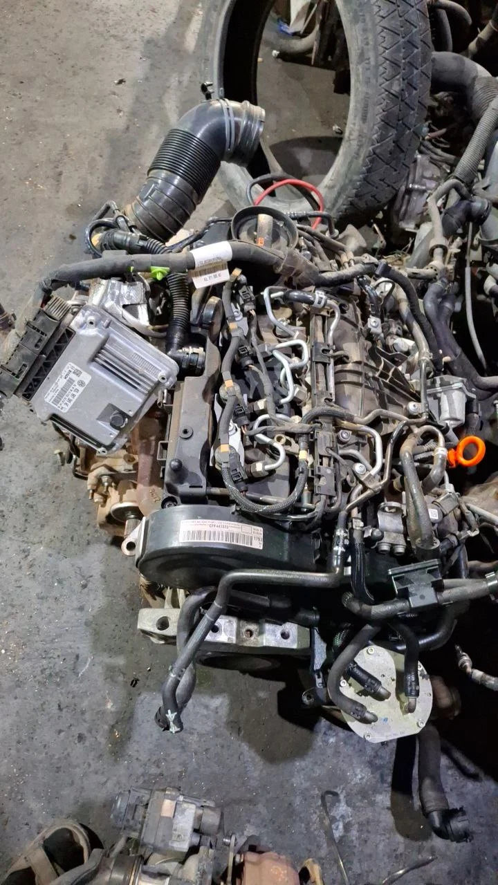 Fotografia della scheda CarlinFodera del motore CFF