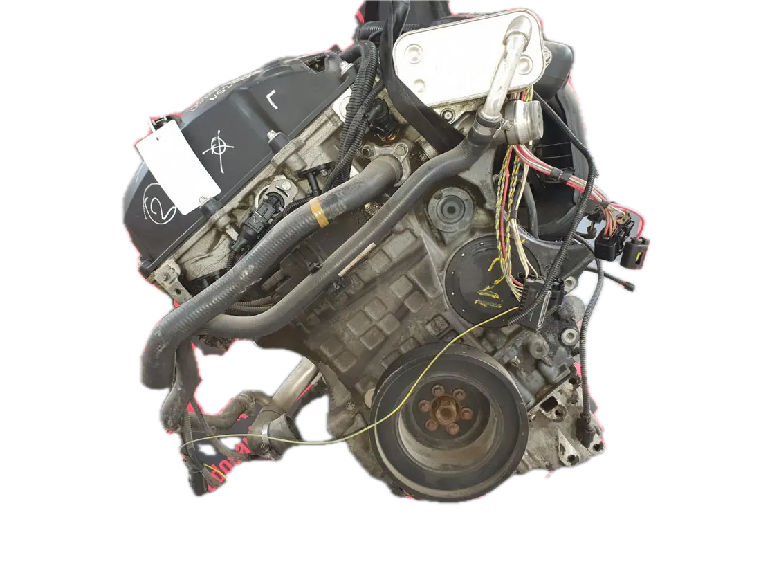 Foto dalla scheda CarlinFodera del motore N52B30A