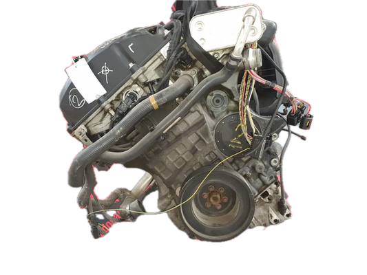 Foto dalla scheda CarlinFodera del motore N52B30A