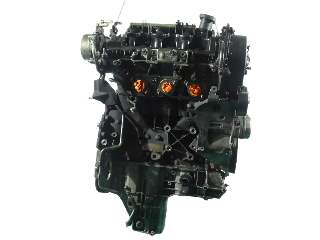 Fotografia della scheda CarlinFodera del motore 306DT