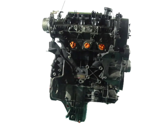 Fotografia della scheda CarlinFodera del motore 306DT