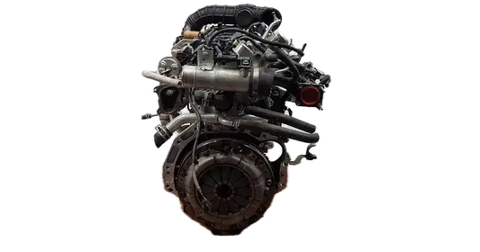 Motore Suzuki K14C: fotografia dalla scheda prodotto CarlinFodera