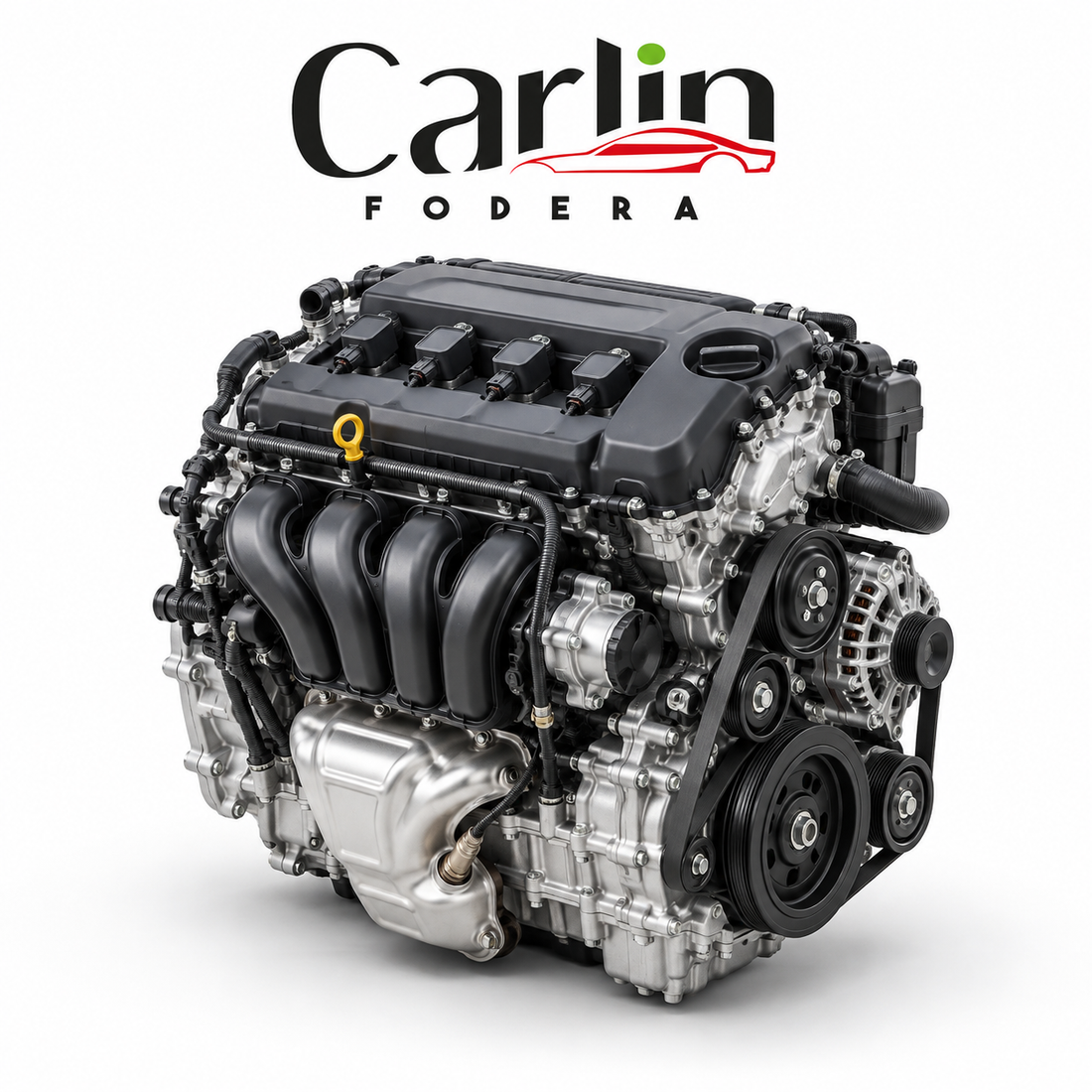 Immagine illustrativa CarlinFodera per la guida al codice HHDA