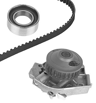 KIT.DIS.C.POMPA ACQ.FI.PUNTO1.2/PANDA1.2(Dayco