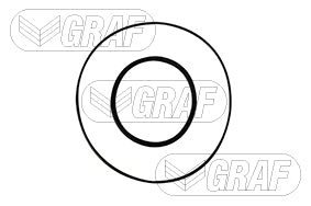 P.ACQ. CHRYSLER  Grand Voyager IV (RG)