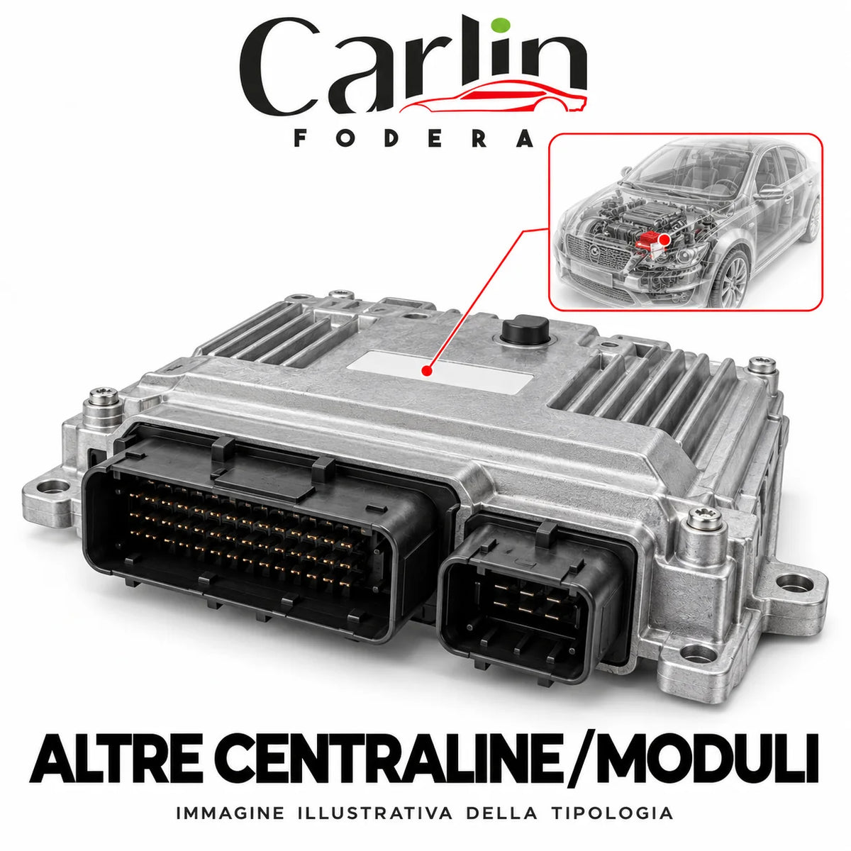 Illustrazione Carlin Fodera: Altre centraline/moduli; immagine generica della tipologia