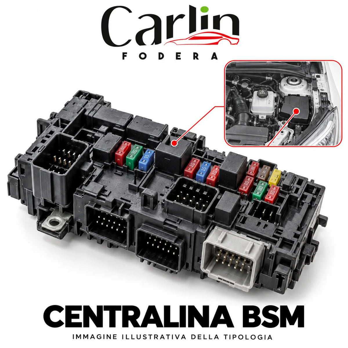Illustrazione Carlin Fodera: Centralina BSM; immagine generica della tipologia