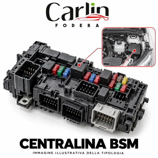 Illustrazione Carlin Fodera: Centralina BSM; immagine generica della tipologia
