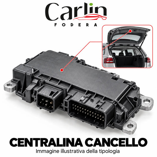 Illustrazione Carlin Fodera: Centralina cancello; immagine generica della tipologia