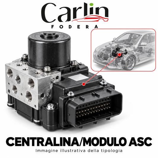 Illustrazione Carlin Fodera: Centralina/modulo ASC; immagine generica della tipologia