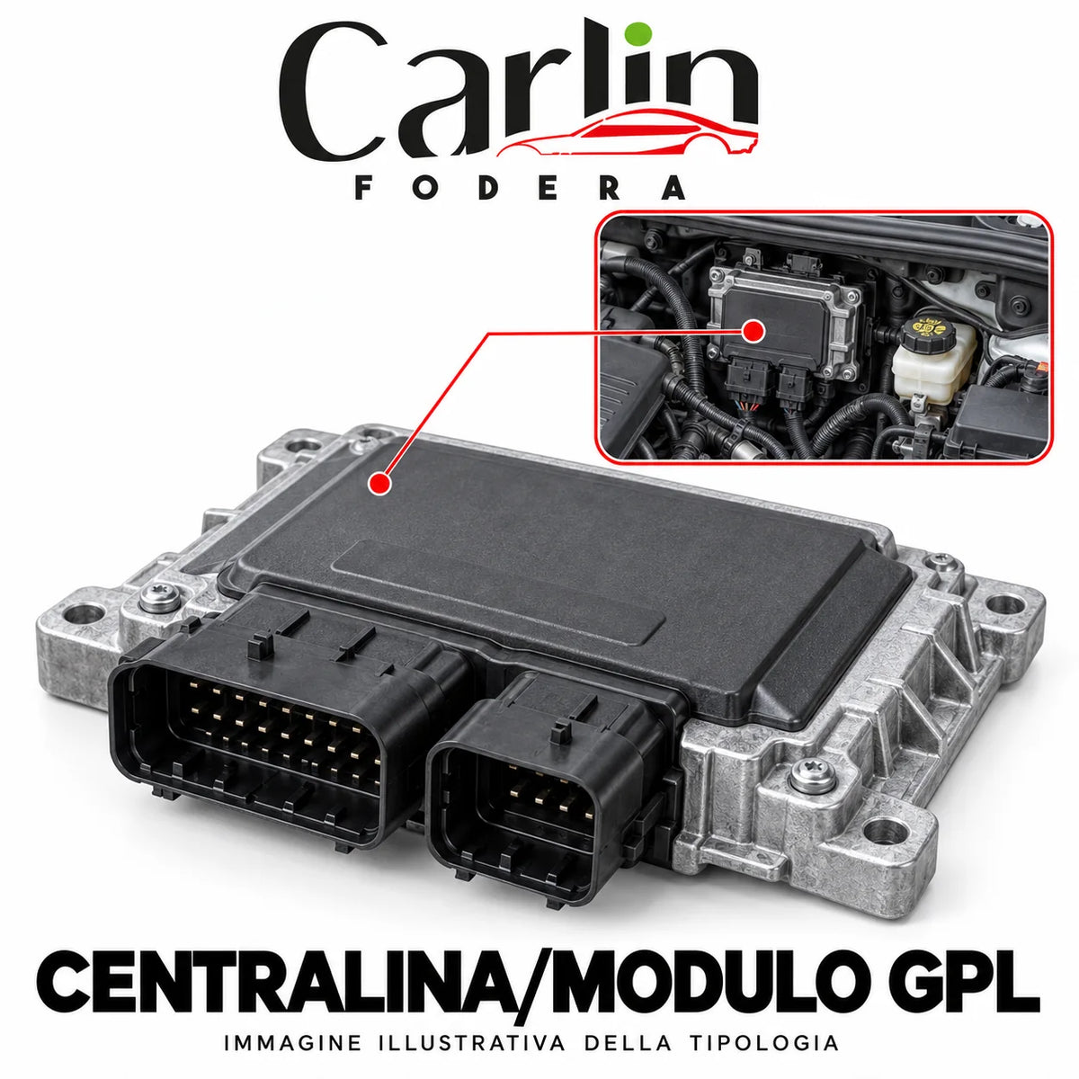 Illustrazione Carlin Fodera: Centralina/modulo GPL; immagine generica della tipologia
