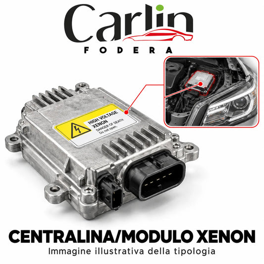 Illustrazione Carlin Fodera: Centralina/modulo Xenon; immagine generica della tipologia