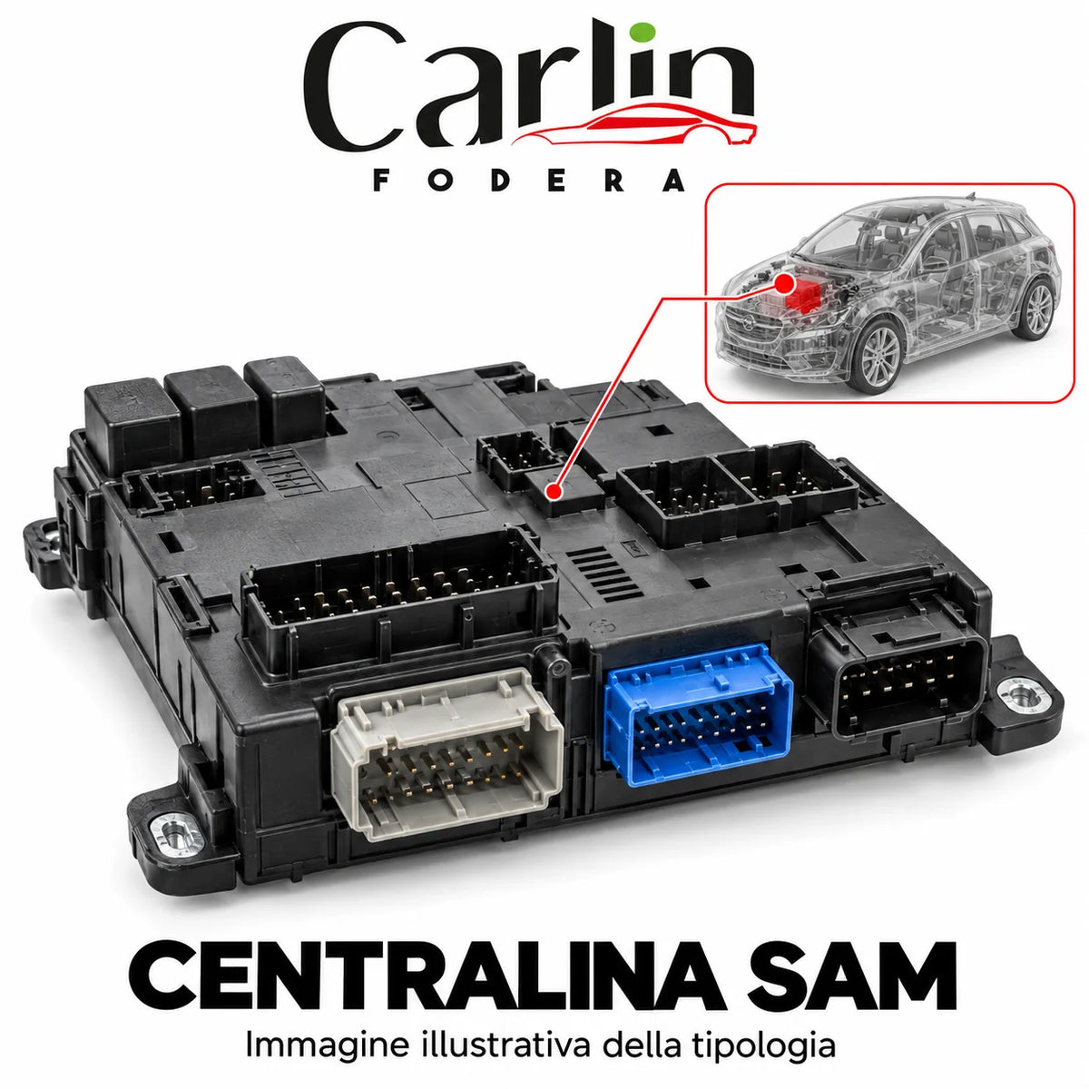 Illustrazione Carlin Fodera: Centralina SAM; immagine generica della tipologia