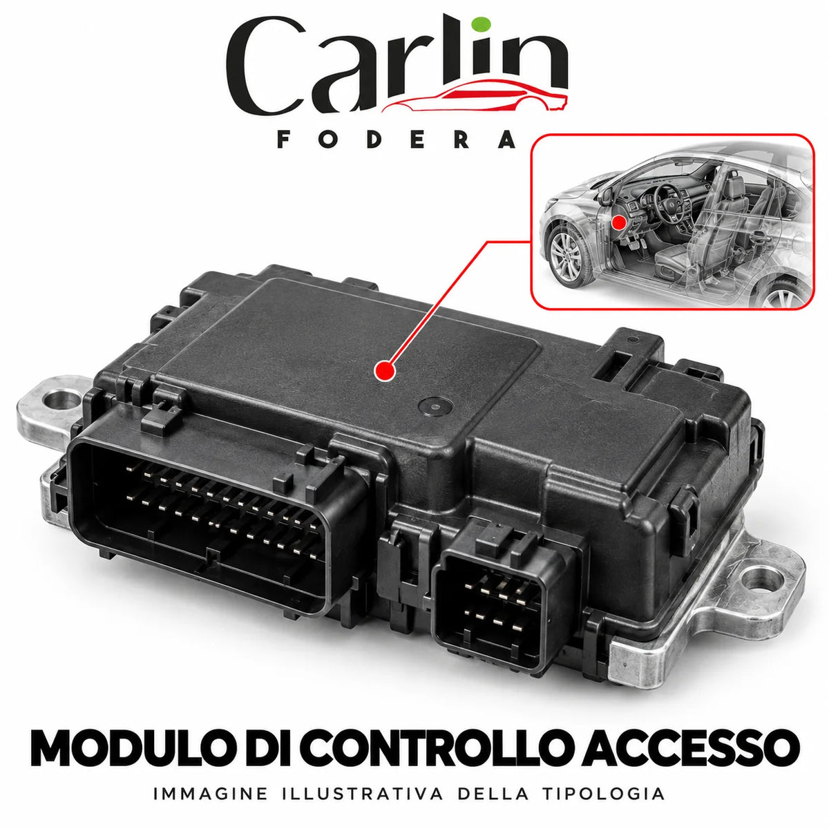 Illustrazione Carlin Fodera: Modulo di controllo accesso; immagine generica della tipologia