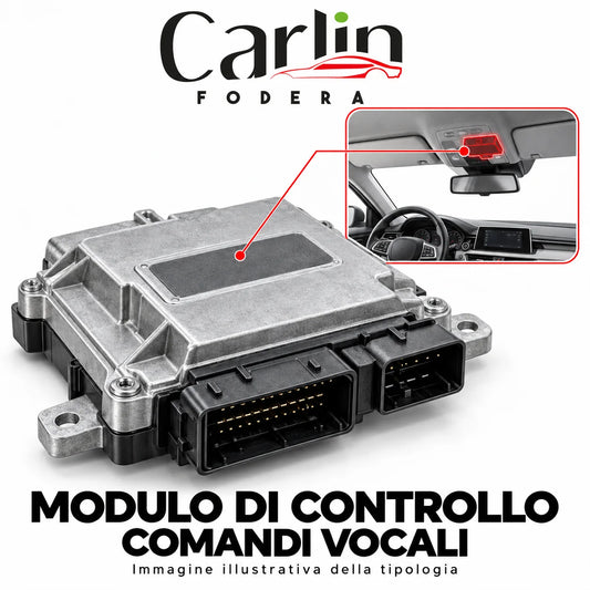Illustrazione Carlin Fodera: Modulo di controllo comandi vocali; immagine generica della tipologia