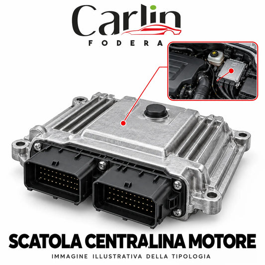 Illustrazione Carlin Fodera: Scatola centralina motore; immagine generica della tipologia