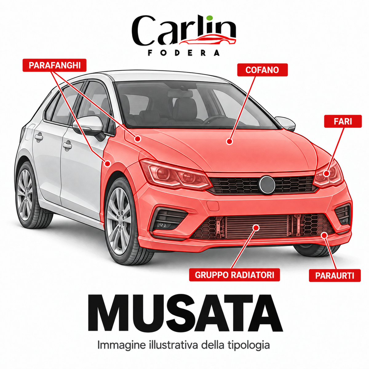 Musata auto: cofano, paraurti, parafanghi, fari e gruppo radiatori evidenziati — immagine illustrativa CarlinFodera