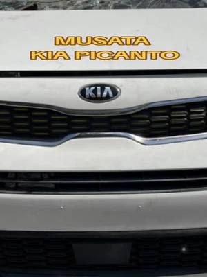 Half cut Kia Picanto (anteriore completo)