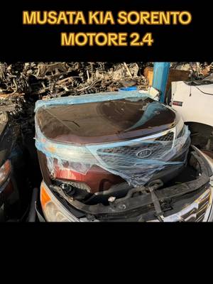 Half cut Kia Sorento
