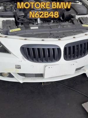 Motore BMW N62B48